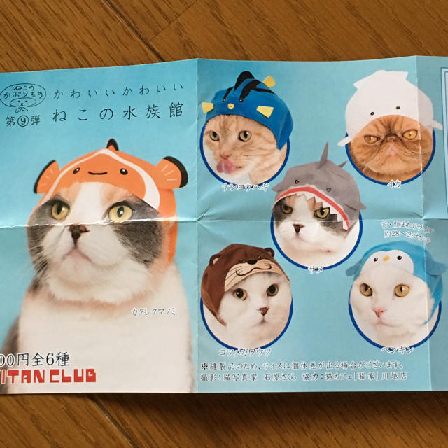 かわいいかわいい猫の水族館  イカ その他のペット用品(猫)の商品写真