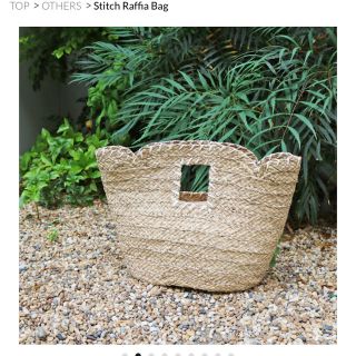 トゥデイフル(TODAYFUL)のtodayful / stitch raffia bag(かごバッグ/ストローバッグ)