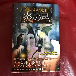 竜の棲む家Ⅲ 炎の星 (文学/小説)