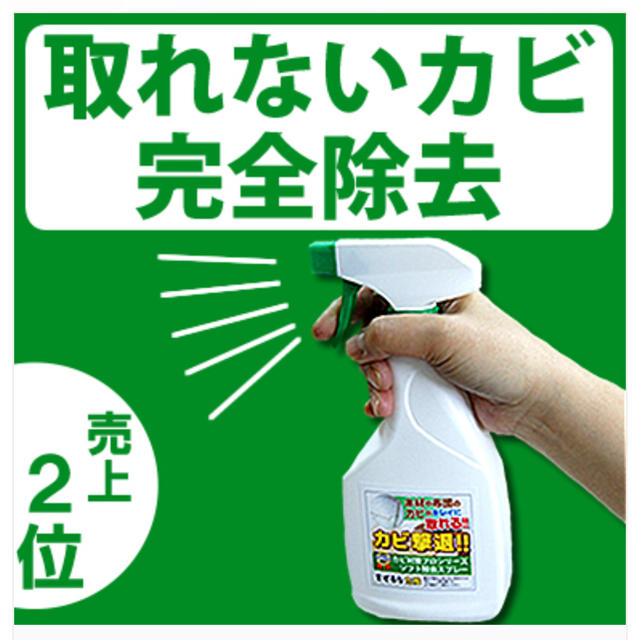 木材、布団、マットレス、畳などの漂白に弱い個所のカビ取り剤 インテリア/住まい/日用品のインテリア/住まい/日用品 その他(その他)の商品写真