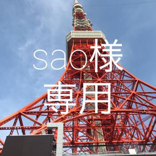 sao様専用(その他)