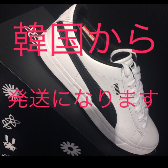 mafumafu 22.5㎝