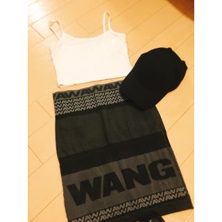 アレキサンダーワン(Alexander Wang)のアレキサンダーワン×H&Mスカート(ミニスカート)