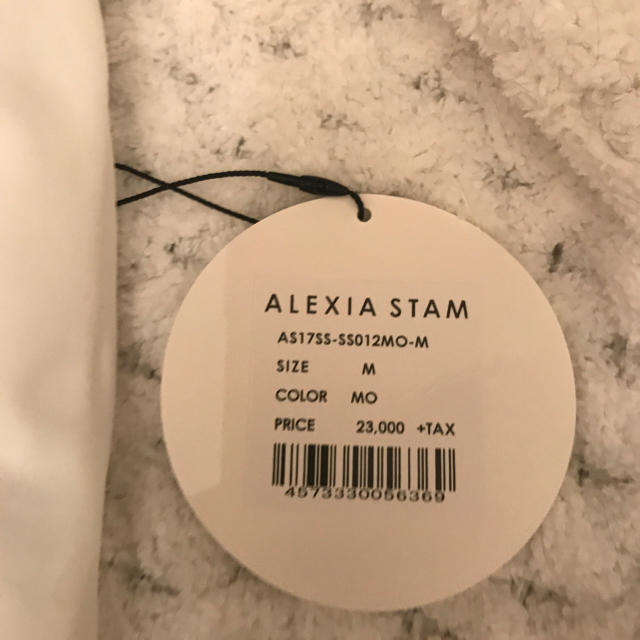 ALEXIA STAM(アリシアスタン)のアリシアスタン 新品 レディースの水着/浴衣(水着)の商品写真