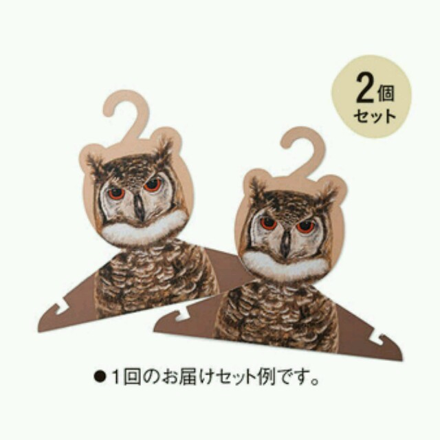 FELISSIMO(フェリシモ)のフクロウハンガー2本セット その他のその他(その他)の商品写真