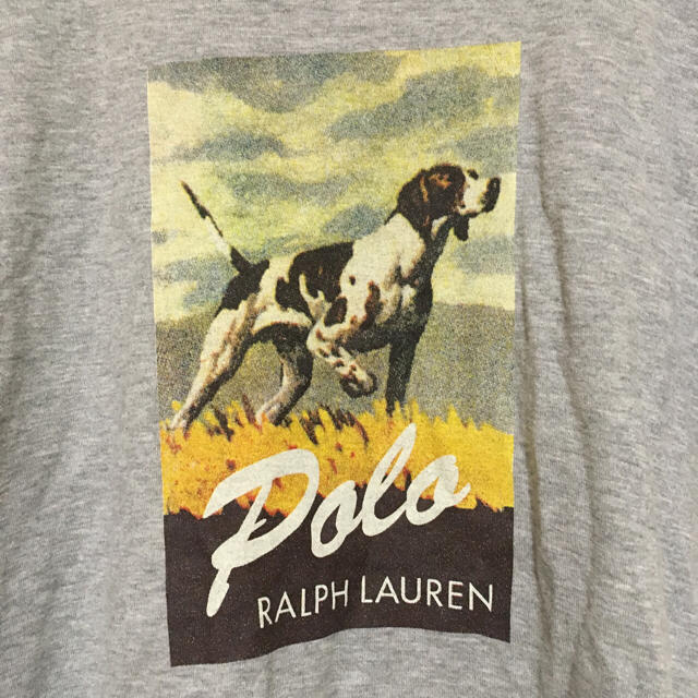 POLO RALPH LAUREN(ポロラルフローレン)のふみけんと様 ラルフローレン プリントTシャツ グレー レディースのトップス(Tシャツ(半袖/袖なし))の商品写真