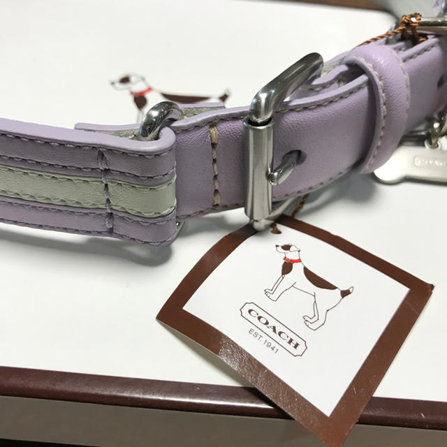 COACH(コーチ)のcoach 犬の首輪 ライトパープル 大型犬 その他のペット用品(犬)の商品写真