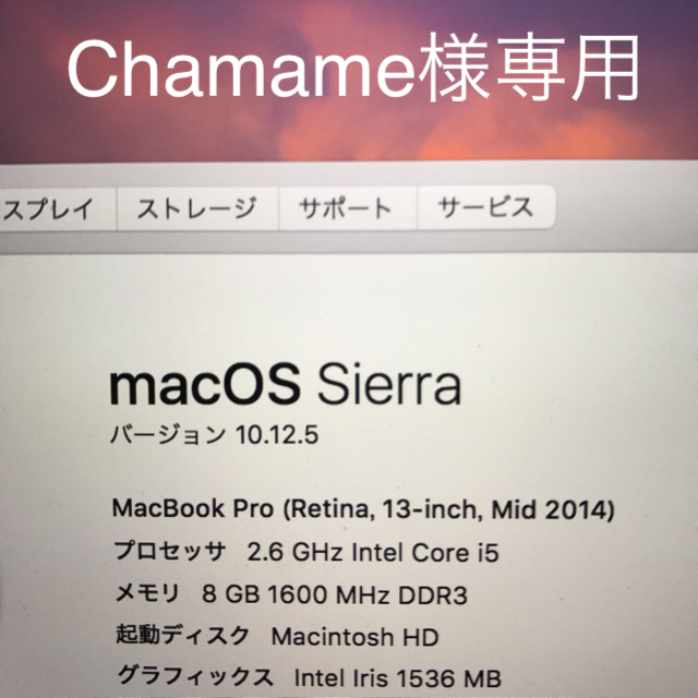 Apple - Chamane MacBook Pro2014  Retina13