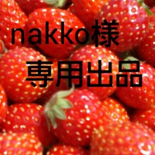nakko様専用出品(その他)