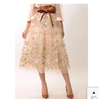 リリーブラウン(Lily Brown)のリリーブラウンチュール刺繍スカート(ロングスカート)