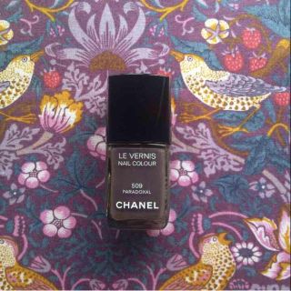 シャネル(CHANEL)のCHANEL ネイルカラー 509(マニキュア)