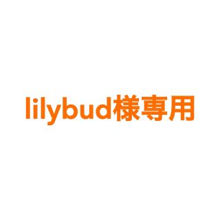 アダムエロぺ(Adam et Rope')のlilybud様専用(その他)