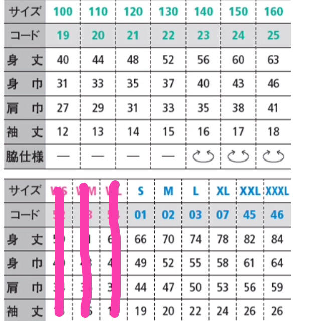 日本初の サイズ表 その他