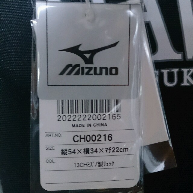 MIZUNO(ミズノ)のREGZA様専用☆リュックサック  ソフトバンク ホークス メンズのバッグ(バッグパック/リュック)の商品写真