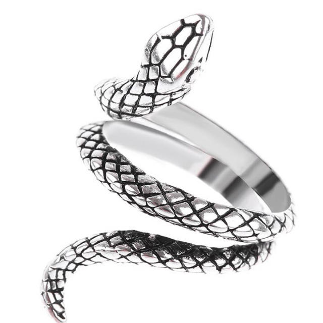 銀蛇シルバーリング レディースのアクセサリー(リング(指輪))の商品写真
