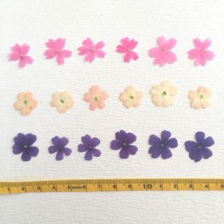 kiyoさま専用＊押し花素材＊バーベナ(各種パーツ)