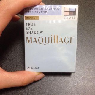 マキアージュ(MAQuillAGE)の新品 アイシャドウ(その他)