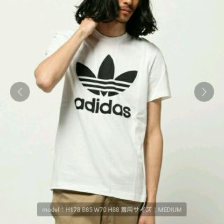 アディダス(adidas)のadidasオリジナルズ ロゴTシャツ/ホワイト(Tシャツ/カットソー(半袖/袖なし))