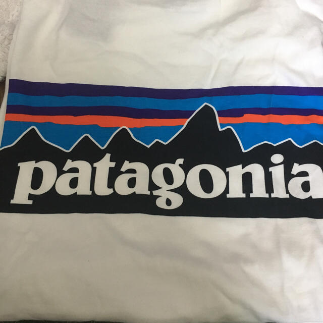 patagonia(パタゴニア)のpatagonia Tシャツ レディースのトップス(Tシャツ(長袖/七分))の商品写真