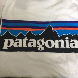 パタゴニア(patagonia)のpatagonia Tシャツ(Tシャツ(長袖/七分))