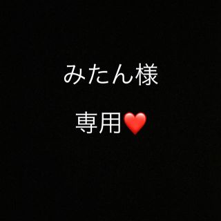 みたん様 専用(その他)