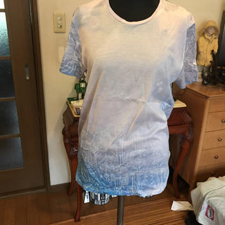 ツモリチサト(TSUMORI CHISATO)のツモリチサト  グラデーションTシャツ(Tシャツ(半袖/袖なし))