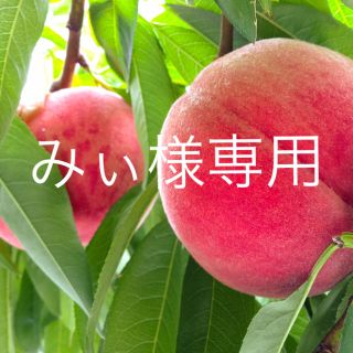 【みぃ専用様】南信州産桃あかつき(7玉〜9玉)◎送料無料(フルーツ)