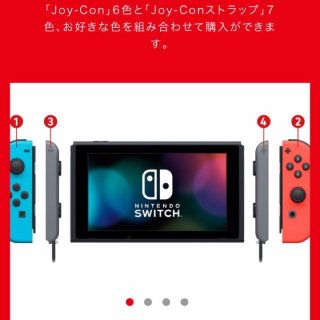 ニンテンドーswitch カスタム　Lがブルー　Rがレッド(家庭用ゲーム機本体)