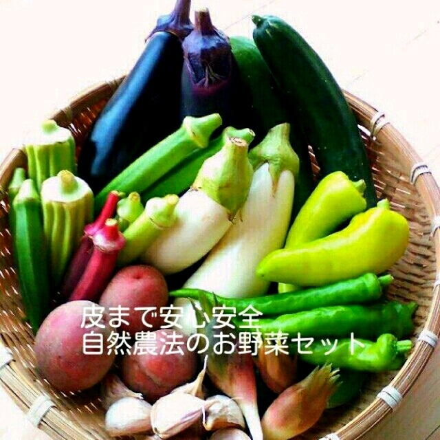 自然栽培の夏野菜詰め合わせセット 食品/飲料/酒の食品(野菜)の商品写真