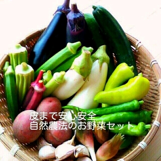 自然栽培の夏野菜詰め合わせセット(野菜)
