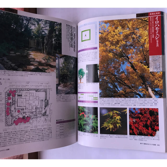 緑のデザイン図鑑 ／ 建築知識別冊 エンタメ/ホビーの本(趣味/スポーツ/実用)の商品写真