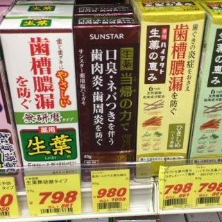 当帰の力 歯磨き粉薬用(歯磨き粉)