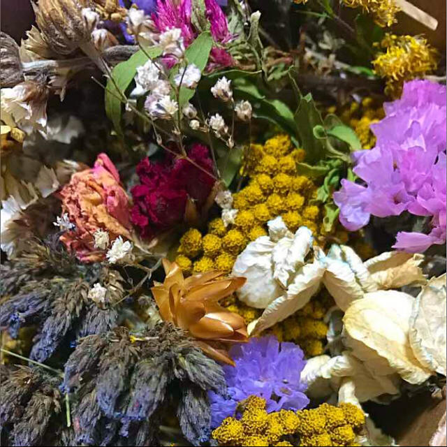 ドライフラワー 花材 #9 枝つき、ヘッド mix ハンドメイドのフラワー/ガーデン(ドライフラワー)の商品写真