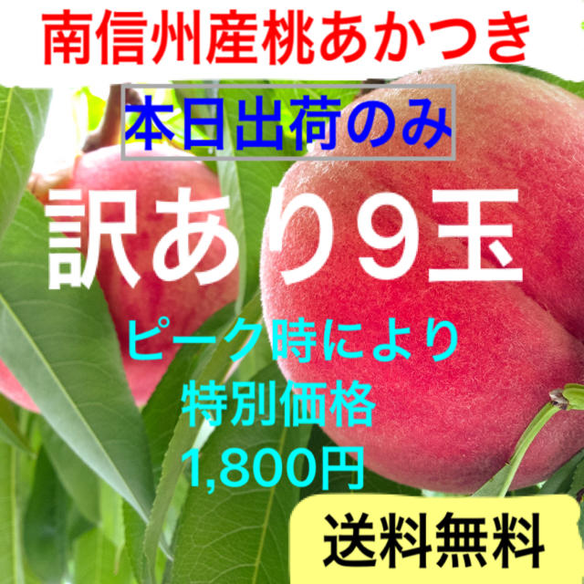 【92】訳あり９玉◎南信州産桃あかつき◎送料無料 食品/飲料/酒の食品(フルーツ)の商品写真