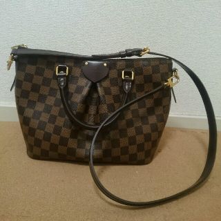 ルイヴィトン(LOUIS VUITTON)の【LEI様用】ルイヴィトン  N41545  シエナPM   中古 美品(ショルダーバッグ)