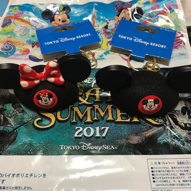 Disney イヤーハット キーホルダーの通販 By Anna S Shop ディズニーならラクマ