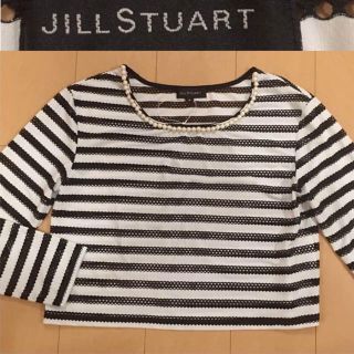 ジルスチュアート(JILLSTUART)のJILL STUART ジルスチュアート ボーダー メッシュ トップス パール襟(シャツ/ブラウス(長袖/七分))