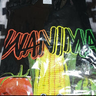 ワニマ(WANIMA)のWANIMA 野菜Tシャツ 黒 Mサイズ(Tシャツ(半袖/袖なし))