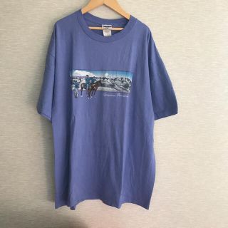 USA古着 BIGTシャツ【XL】ウマ(Tシャツ/カットソー(半袖/袖なし))