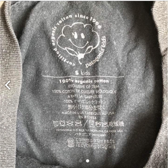 patagonia(パタゴニア)のパタゴニア キッズ Tシャツ S キッズ/ベビー/マタニティのキッズ服男の子用(90cm~)(Tシャツ/カットソー)の商品写真