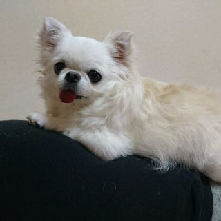 mmm様専用です。ルームライト(テーブルスタンド)