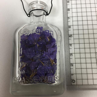 12 ドライフラワー 花材 スターチス 花びら 紫(ドライフラワー)