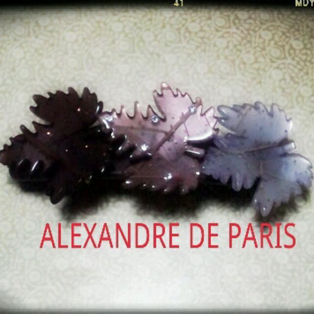 ☆ALEXANDRE DU PARIS☆ レディースのヘアアクセサリー(ヘアピン)の商品写真