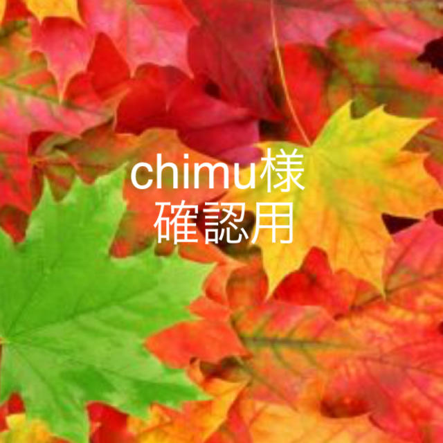日本産】 chimu様確認用 スタイ+よだれかけ - www.futurefamous.media