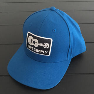 パタゴニア(patagonia)の新品・未使用 Patagonia cap 帽子 blue パタゴニア(キャップ)