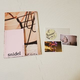 スナイデル(SNIDEL)のsnidel♡カタログ ステッカーセット(その他)