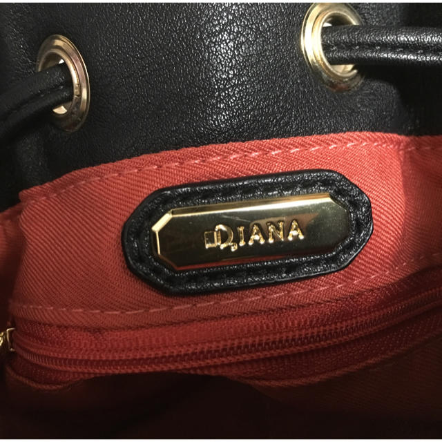 DIANA(ダイアナ)のダイアナ♡ファー巾着バック はあちむ様専用 レディースのバッグ(ショルダーバッグ)の商品写真