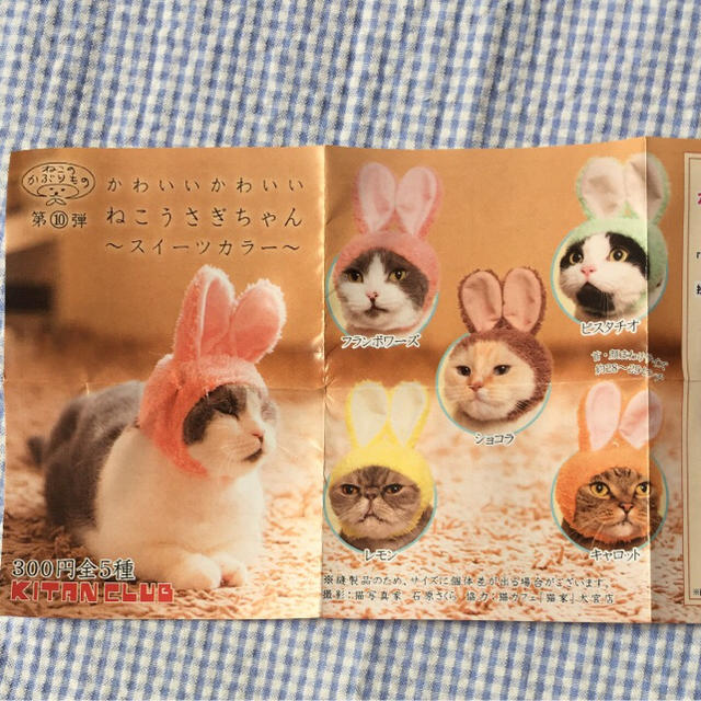 ねこうさぎちゃん   フランボワーズ  その他のペット用品(猫)の商品写真