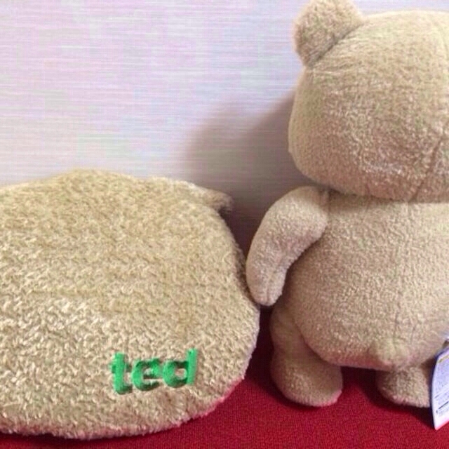 TED♡ぬいぐるみ・クッション♡SET