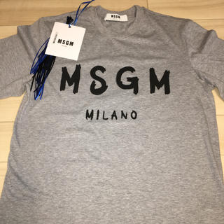 エムエスジイエム(MSGM)の正規品 msgm Tシャツ 新品 イタリア製 xs(Tシャツ(半袖/袖なし))